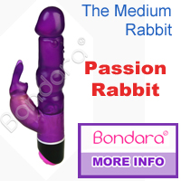 passion rabbit vibrator